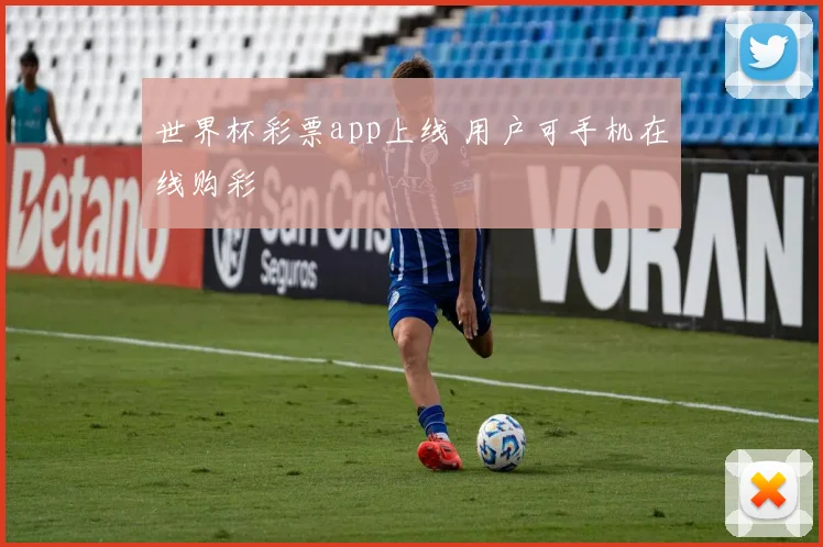 世界杯彩票app上线 用户可手机在线购彩