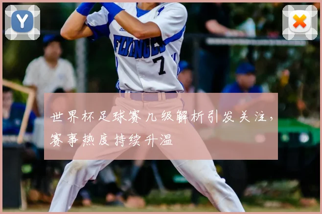 世界杯足球赛几级解析引发关注,赛事热度持续升温